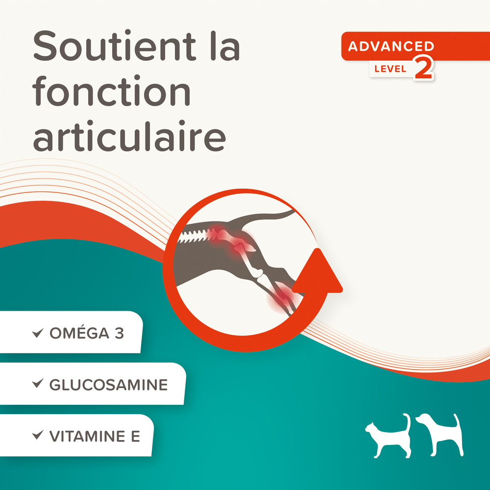 Pâte Articulations Pour Chien et Chat Flexifit® Beaphar 250g – Image 5