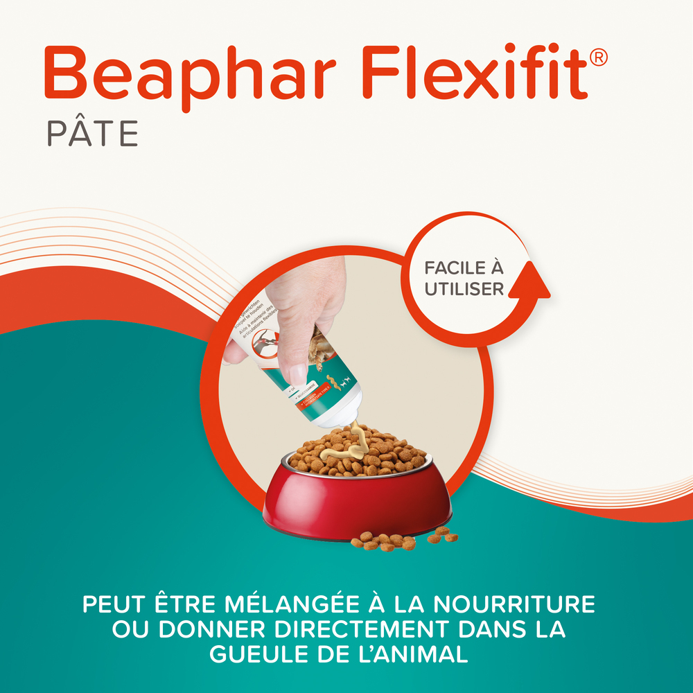 Pâte Articulations Pour Chien et Chat Flexifit® Beaphar 250g – Image 4