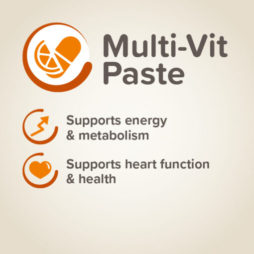 Pâte Multivitaminée Pour Chien Beaphar 100g – Image 4