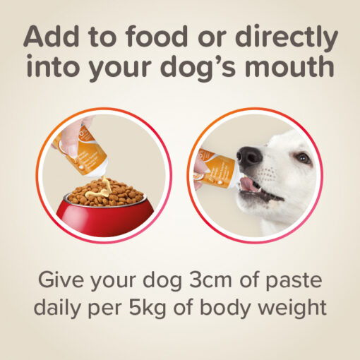Pâte Multivitaminée Pour Chien Beaphar 100g – Image 5
