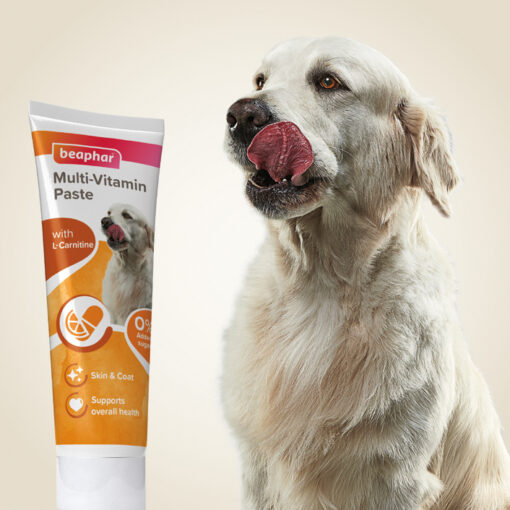 Pâte Multivitaminée Pour Chien Beaphar 100g – Image 6