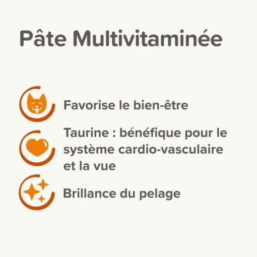 Pâte Multivitaminée à La Taurine et Aux Omégas Pour Chat Beaphar 100g – Image 4
