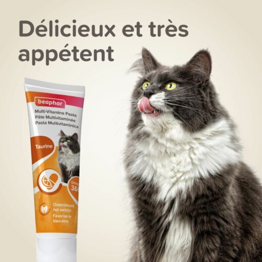 Pâte Multivitaminée à La Taurine et Aux Omégas Pour Chat Beaphar 100g – Image 2