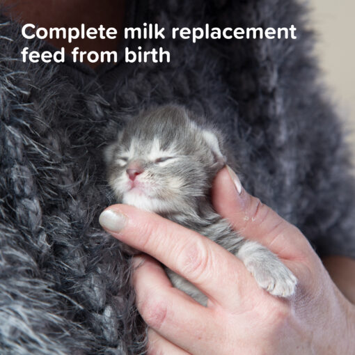 Lait Pour Chatons Beaphar Lactol 250g | 500g – Image 7