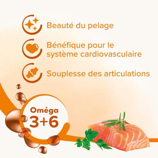 Huile de saumon pour chien et chat Beaphar 430 ml – Image 2