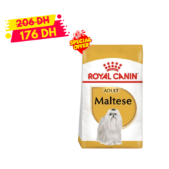 Royal Canin Bichon Maltais Adulte 1.5 Kg Promo