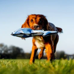 Alternative view of Peluche Pour Chien Rough and Tough Dauphin Moyen Beco