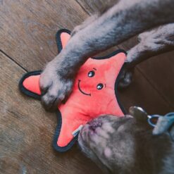 Alternative view of Peluche Pour Chien Rough and Tough Etoile de Mer Medium Beco