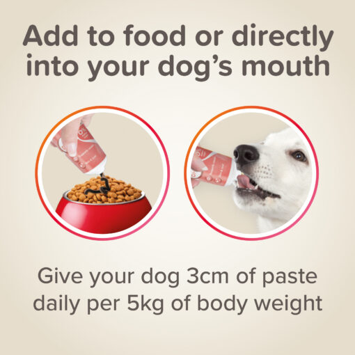 Pâte à l'huile de Saumon Pour Chien Beaphar 100g – Image 4