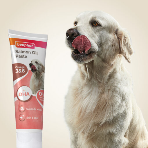 Pâte à l'huile de Saumon Pour Chien Beaphar 100g – Image 5