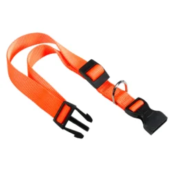 Alternative view of Collier pour Chien FerPlast en Nylon 18-25cm (Bleu | Orange | Rose)