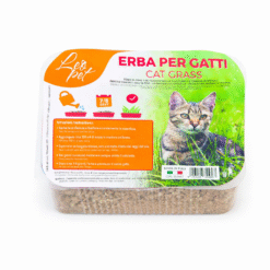 LeoPet - Herbe à Chats 100g