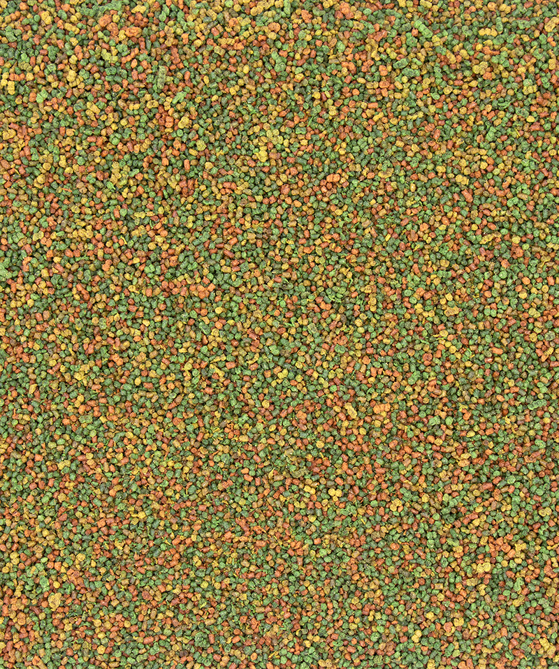 Canaris: Granulés extrudés - aliment d'entretien pour canaris, oiseaux exotiques et indigènes 1Kg – Image 2