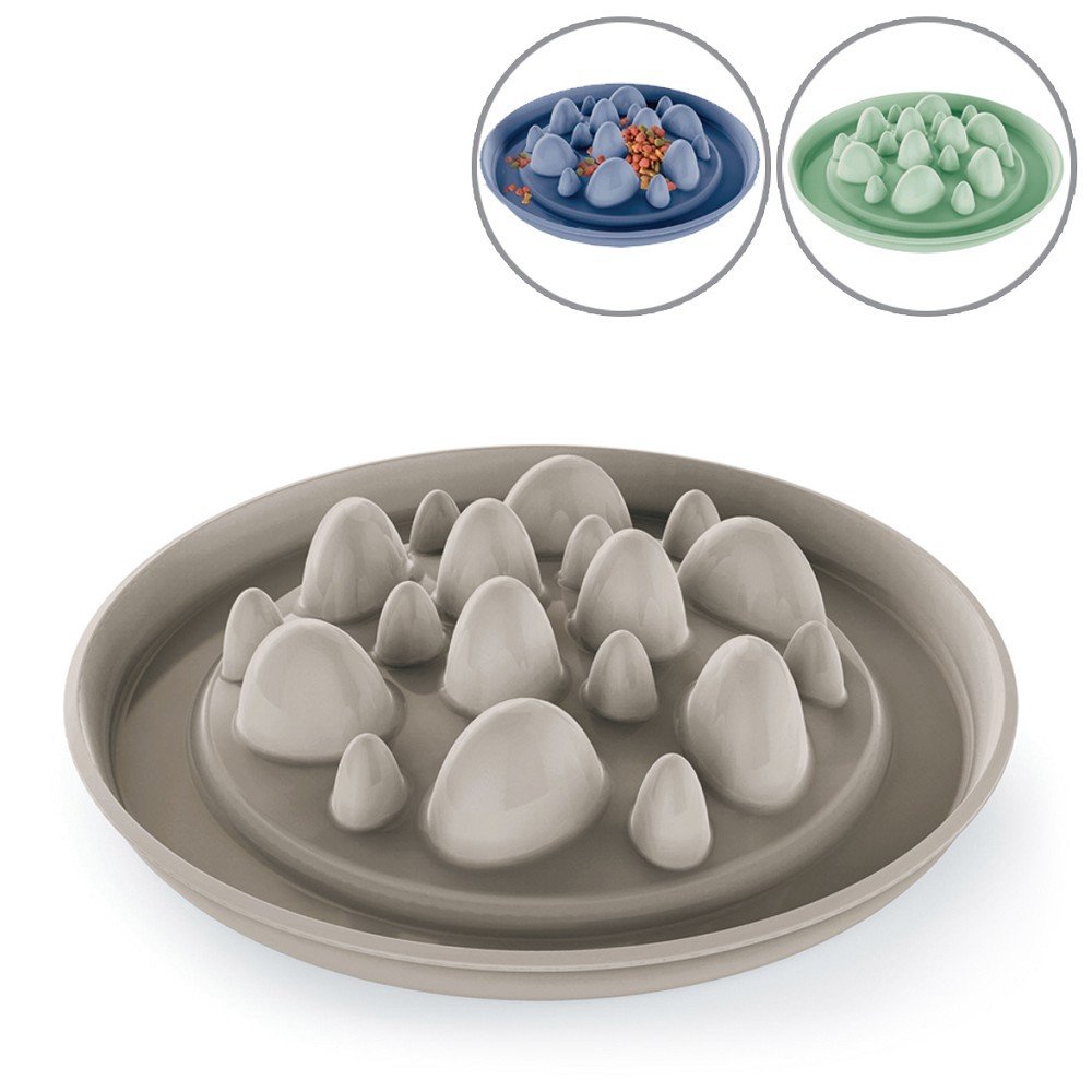 Gamelle Slow Feeding (ralentisseur) Cactus Gris Clair