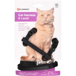 Harnais avec laisse Flamingo Ziggi Noir