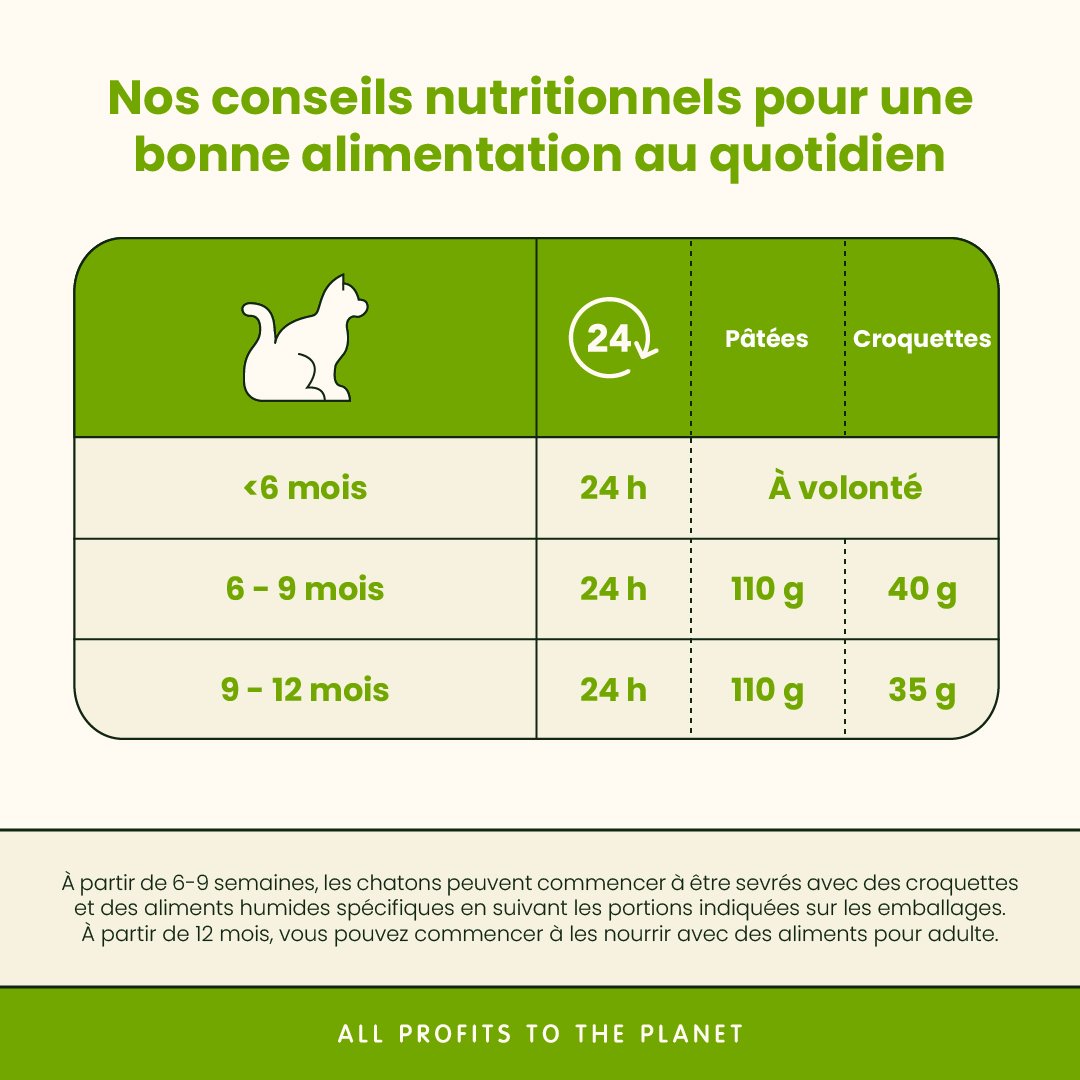 Almo Nature Daily en Mousse 85g | Chaton | Poulet – Image 3