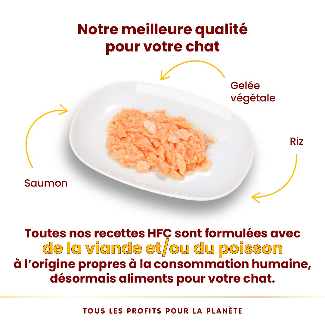 Almo Nature HFC Jelly 70g | Chat Adulte | Saumon en Gelée – Image 4