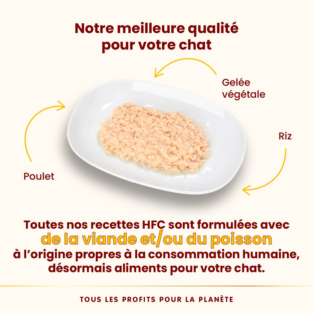 Almo Nature HFC Jelly 70g | Chat Adulte | Poulet en Gelée – Image 2