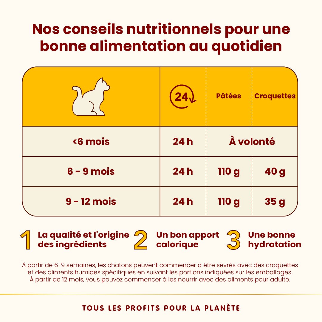 Almo Nature HFC Natural 70g | Chat Adulte | Filet Poulet – Image 3