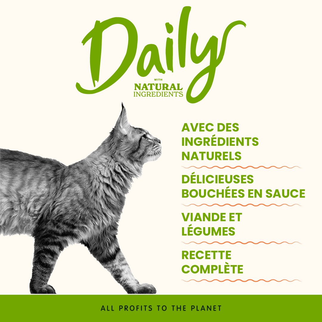 Almo Nature Daily en Sauce 70g | Chat Adulte | Poulet Et Canard – Image 2