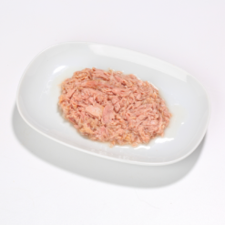 Alternative view of Almo Nature HFC Natural 70g | Chat Adulte | Thon