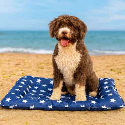 Alternative view of Tapis Rafraichissant Motif Ciel Pour Chiens et Chats - Taille L - Freedog