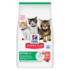 Hill’s Science Plan Croquettes Pour Chaton Au Saumon (1.5kg) Promo