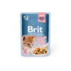 Brit Premium Cat Delicate with Chicken Fillets in Gravy for Kitten (Poulet En Sauce Pour Chaton) 85g