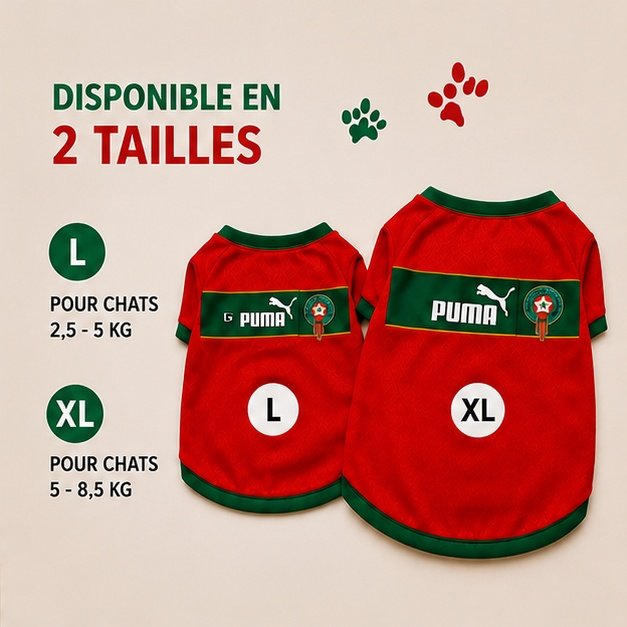 Gilet Equipe Nationale du Maroc Pour Chat ( L | XL ) – Image 2