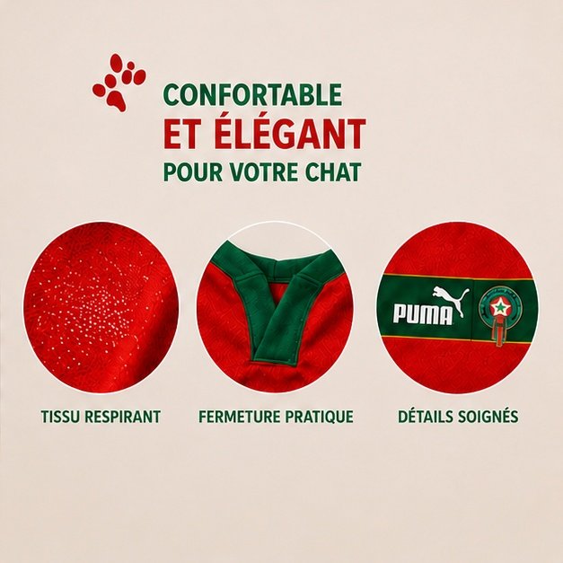 Gilet Equipe Nationale du Maroc Pour Chat ( L | XL ) – Image 3