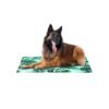 Tapis Rafraichissant Motif Sabana Pour Chiens et Chats - Taille L - Freedog
