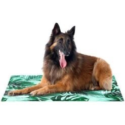 Tapis Rafraichissant Motif Sabana Pour Chiens et Chats - Taille L - Freedog