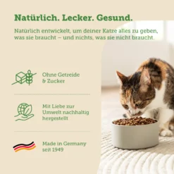 Alternative view of MERA Chats Nature Adultes au saumon 2 kg