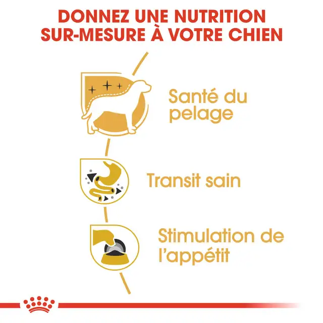 Royal Canin Chihuahua Adulte Sauce - 85g – Image 2