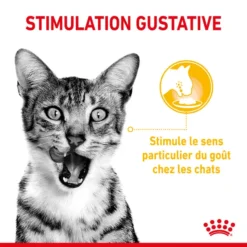 Royal Canin Sensory Taste Pour Chat 85g – Image 5