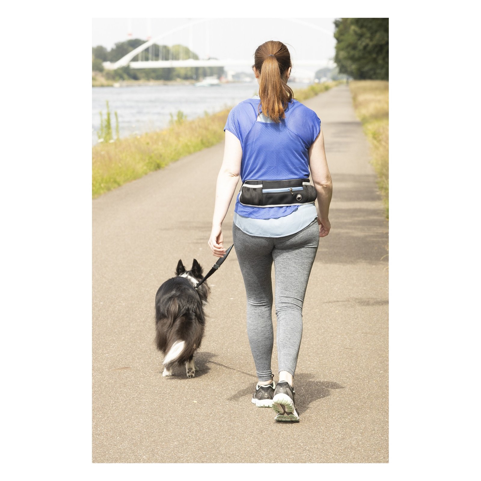 Laisse pour le jogging Flamingo avec ceinture ventrale Rono Bleu – Image 4