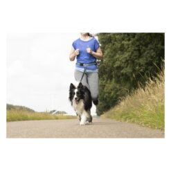Alternative view of Laisse pour le jogging Flamingo avec ceinture ventrale Rono Bleu