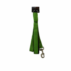 Laisse Nylon Elastique Vert - 25mm x 120cm - CANIJESS