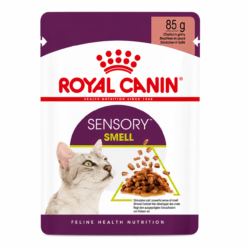 Royal Canin Sensory Smell Pour Chat 85g