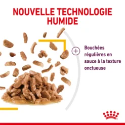 Royal Canin Sensory Taste Pour Chat 85g – Image 4