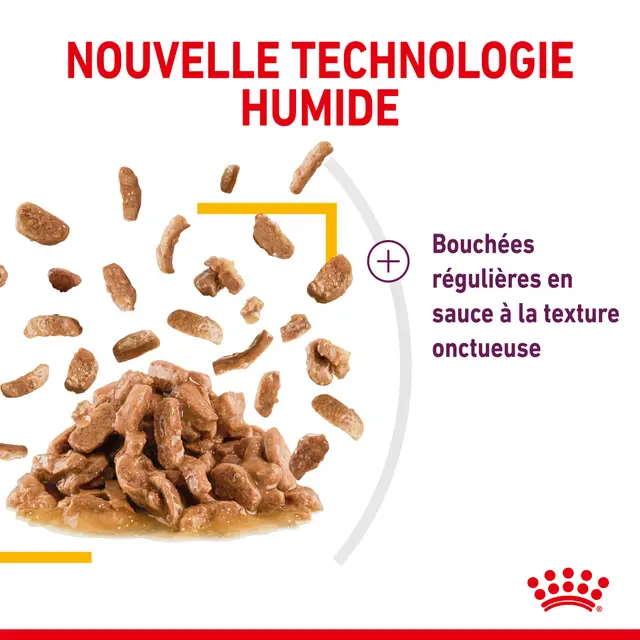 Royal Canin Sensory Taste Pour Chat 85g – Image 4