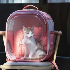 Alternative view of Sac de Transpost Transparent Carré Chat et petit Chien 40x28x28cm