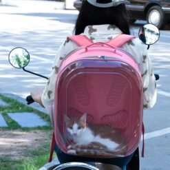 Sac de Transpost Transparent Carré Chat et petit Chien 40x28x28cm – Image 5