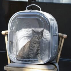 Sac de Transpost Transparent Carré Chat et petit Chien 40x28x28cm – Image 9