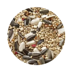 PetCup Mélange de Céréales Standard Pour Perruches 850g – Image 2