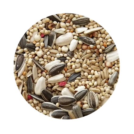 PetCup Mélange de Céréales Standard Pour Perruches 850g – Image 2